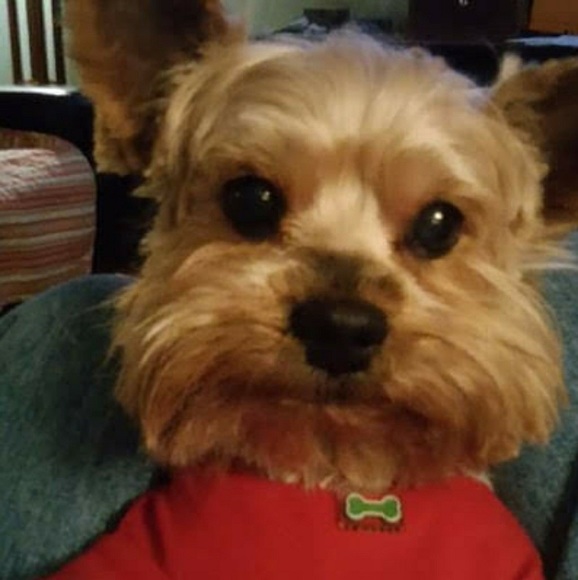 Meet your Posher, Claudia - Picture 3 of 5